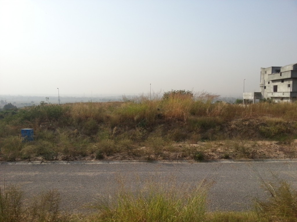 New Orphan Home Plots