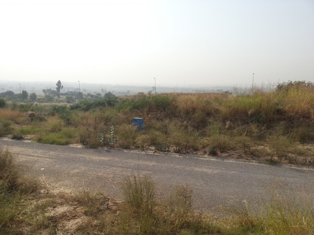 New Orphan Home Plots