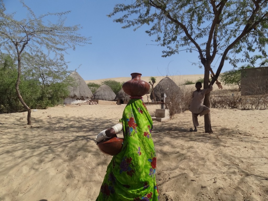 A humanitarian crisis in the Thar Desert